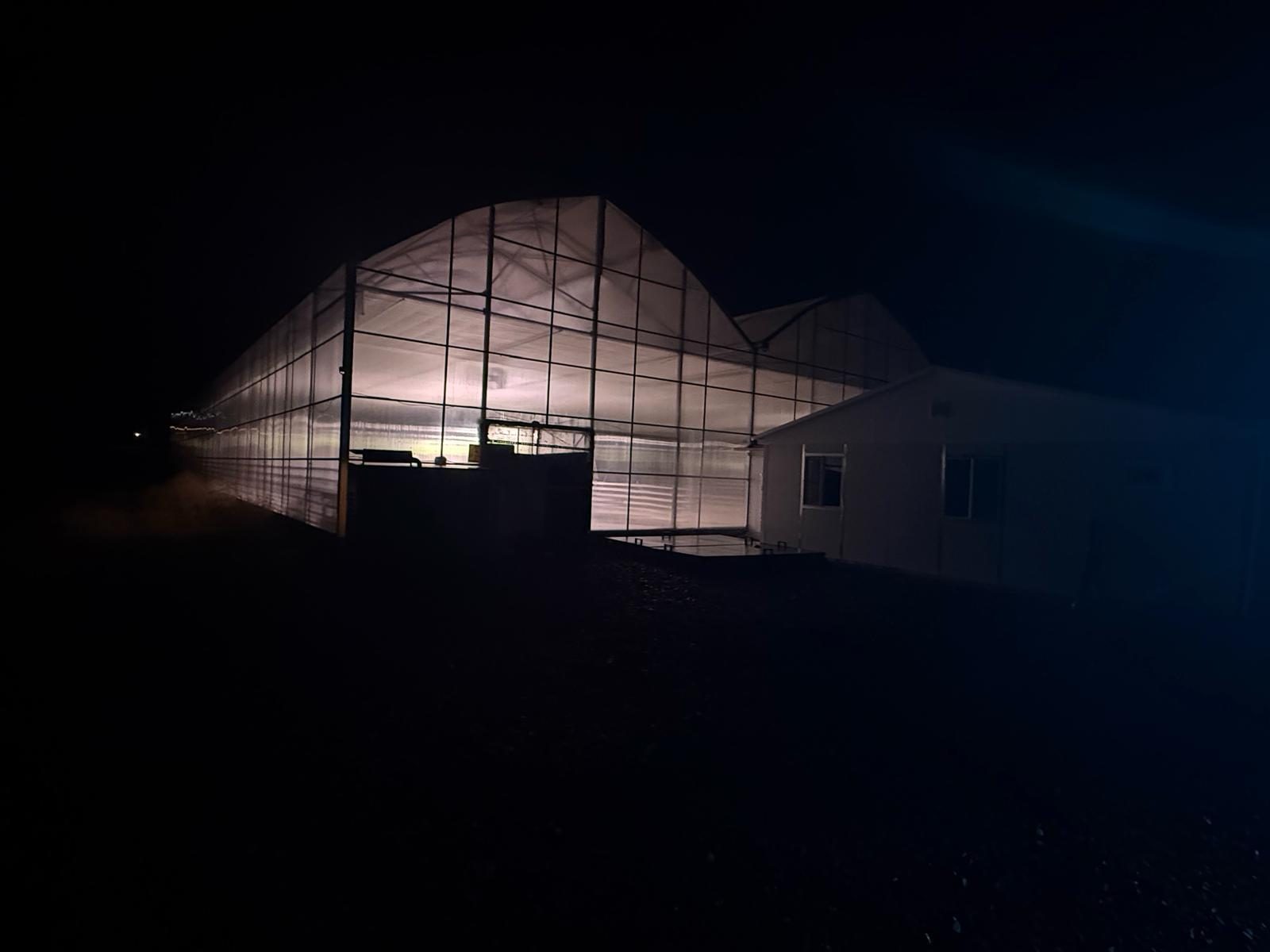 Patgen serası, gece görünümü